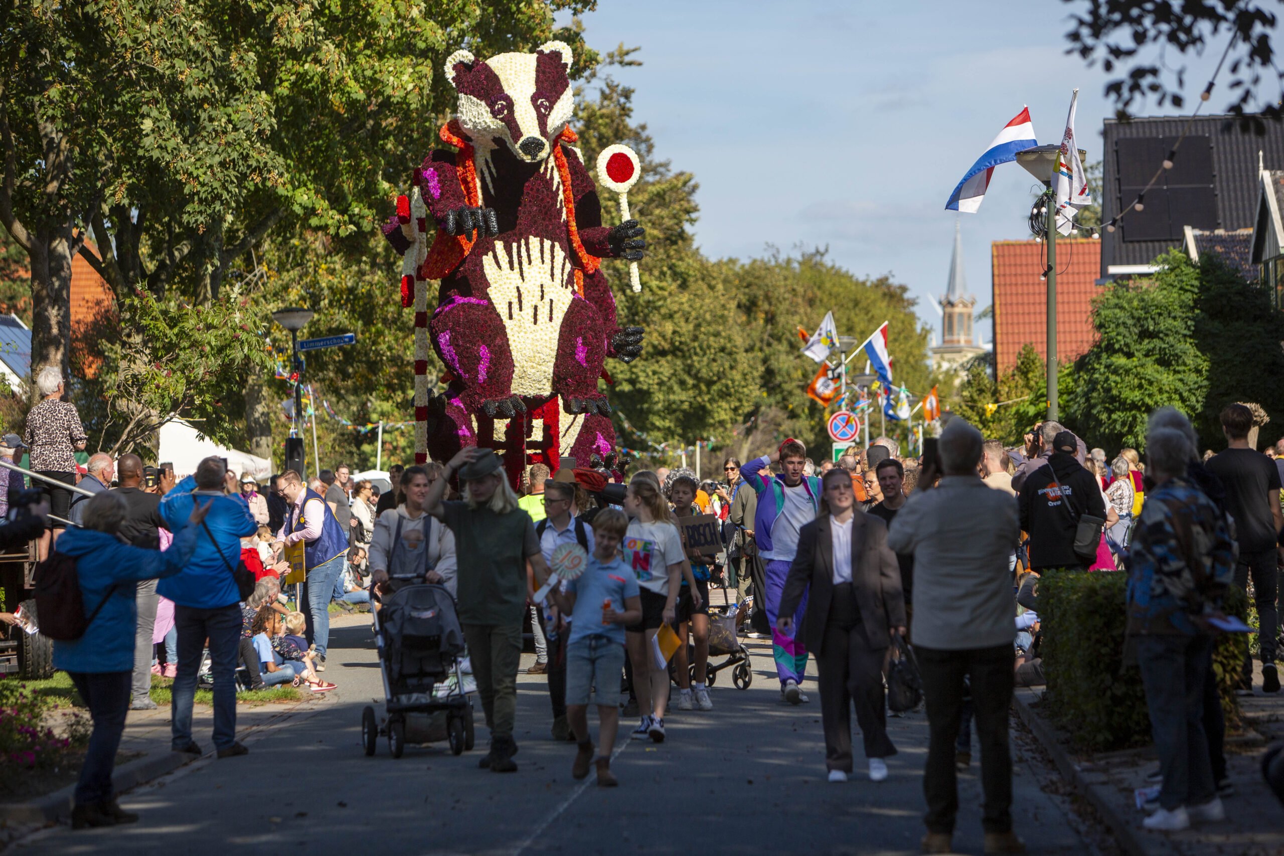 Fantastisch Corso Bloemencorso Winkel