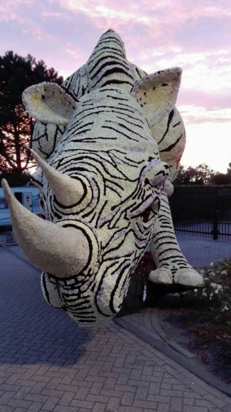 neushoorn neushoorn