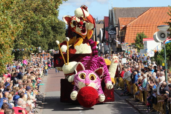 Corsomini's - Kattenkwaad - 2015 Corsomini's - Kattenkwaad - 2015