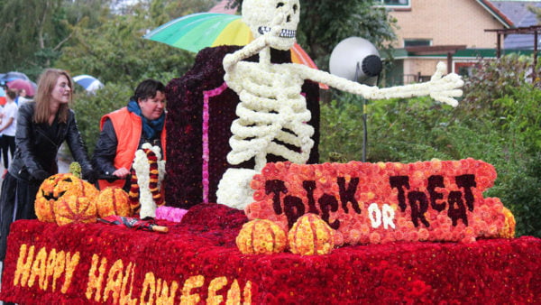 IMG_5997 IMG_5997