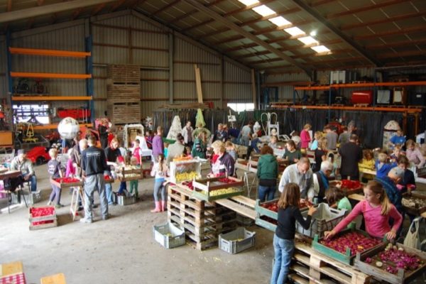 kindercorso konten plakken Konten en plakken in de kindercorsoschuur